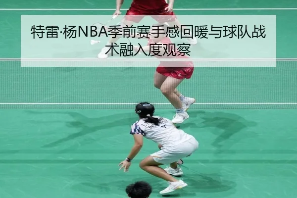 特雷·杨NBA季前赛手感回暖与球队战术融入度观察
